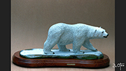 Oso Polar