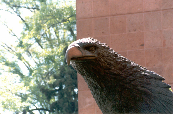 Águila G. Acción