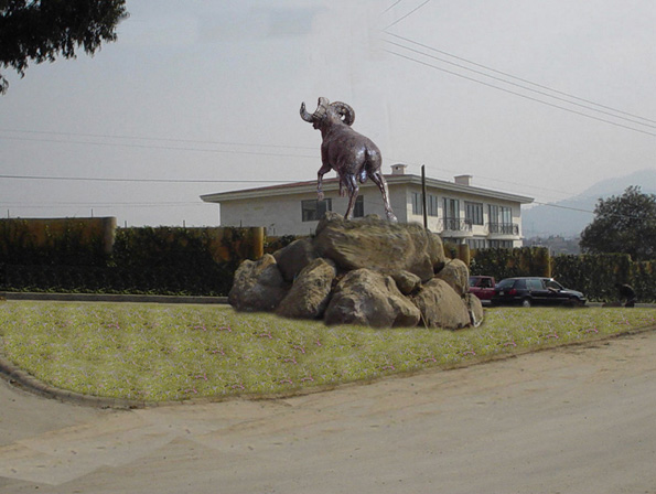 Borrego Ram