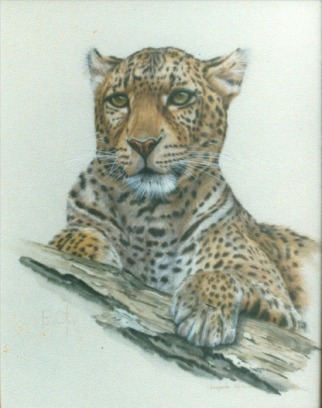 Jaguar