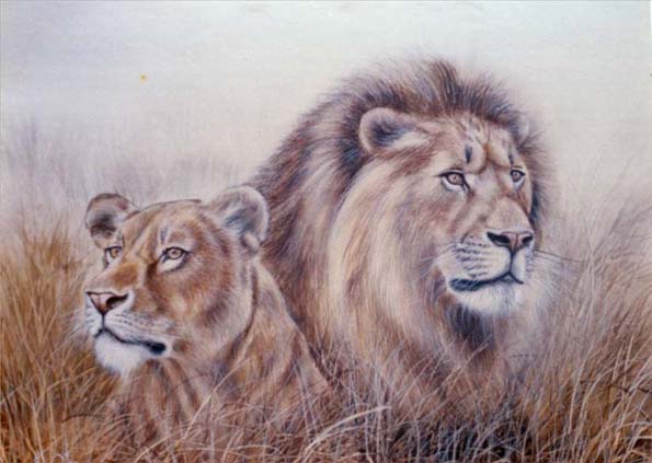 Pareja de Leones