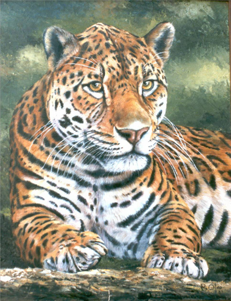 Leopardo