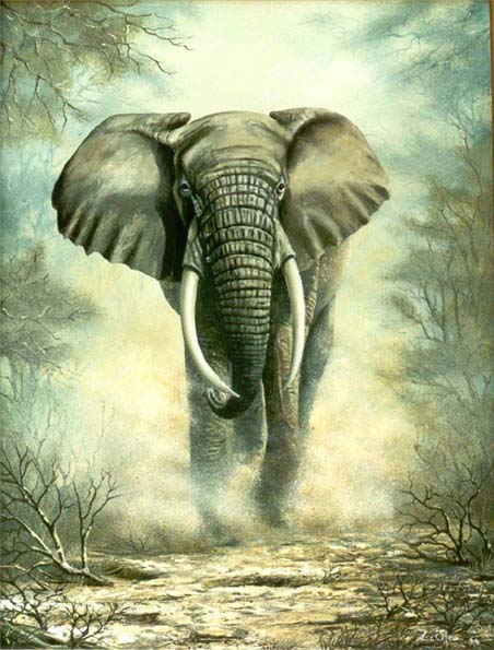 Elefante Africano