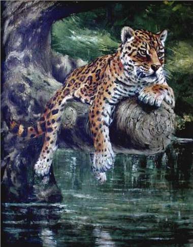 Jaguar