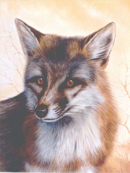 Fox